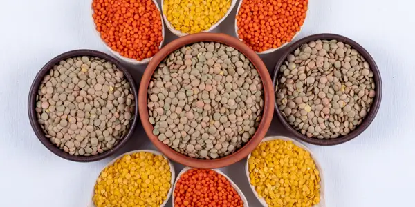 Pulses Image
