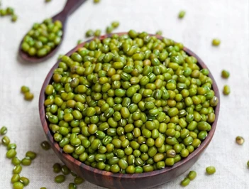 Pulses Image