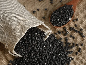 Pulses Image