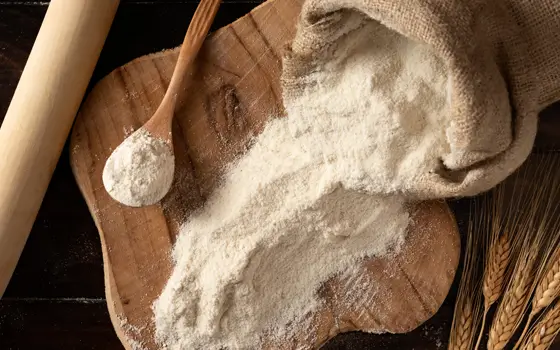 MAIDA